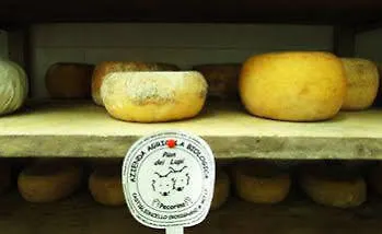 Agriturismo Pian Dei Lupi Rosignano Marittimo Hotel